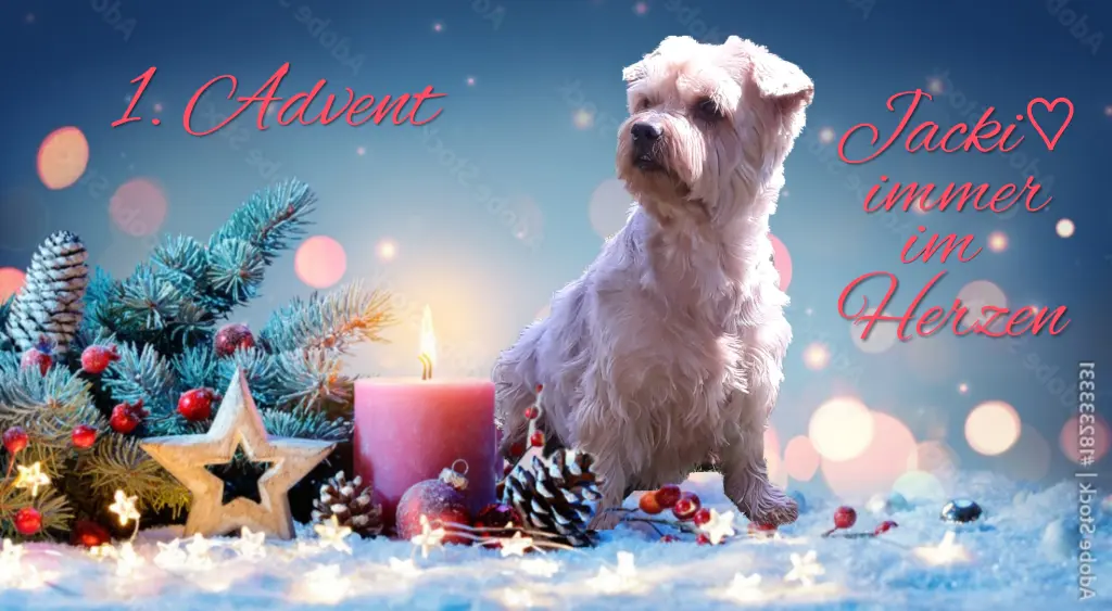 Condolence image of Sonntag,109 Wochen ohne Dich♥️ unser allerliebster Jacki♥️... 