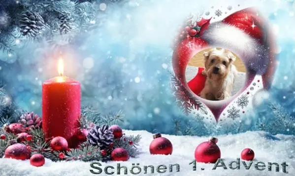 Condolence image of 109.Tygodni.........Bez Ciebie❤️⭐️Ukochany❤️❤️❤️❤️❤️❤️❤️❤️Jackusiu❤️⭐️