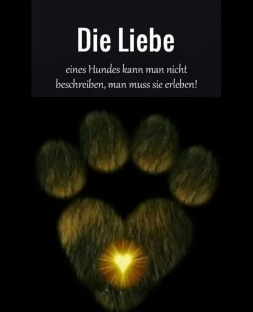 Condolence image of ⭐️Dobranoc nasz najdroższy Jackusiu♥️