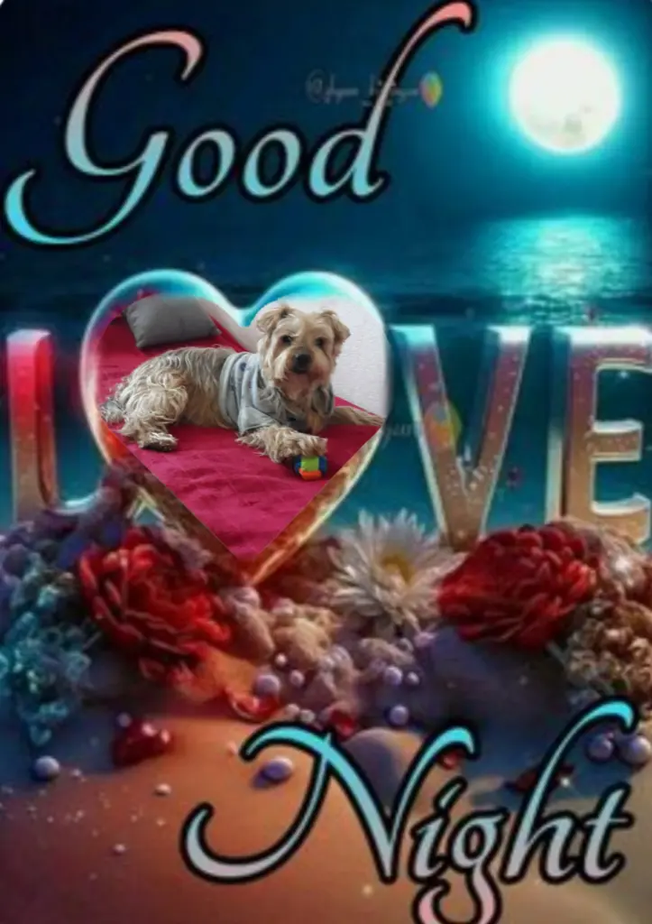 Condolence image of ⭐️Dobranoc nasz najdroższy Jackusiu♥️ 