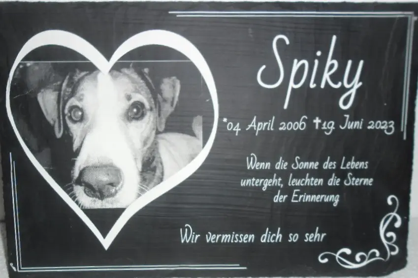 Condolence image of Paul mit Seelenhund " Spiky "