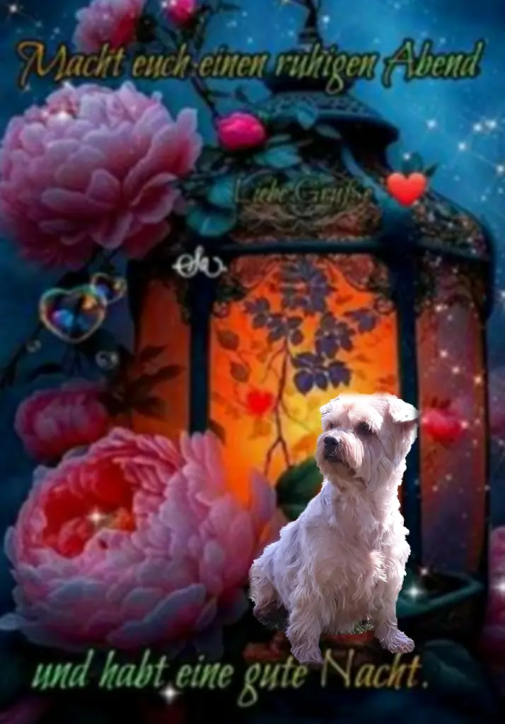 Condolence image of ⭐️Dobranoc nasz najdroższy Jackusiu♥️ 