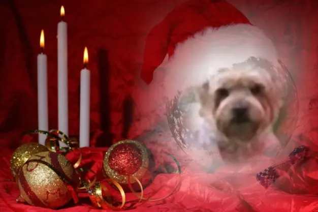 Condolence image of 111 Tygodni.....Bez Ciebie❤️⭐️Ukochany❤️❤️❤️❤️❤️❤️❤️❤️❤️❤️❤️❤️❤️❤️Jackuniu❤️⭐️