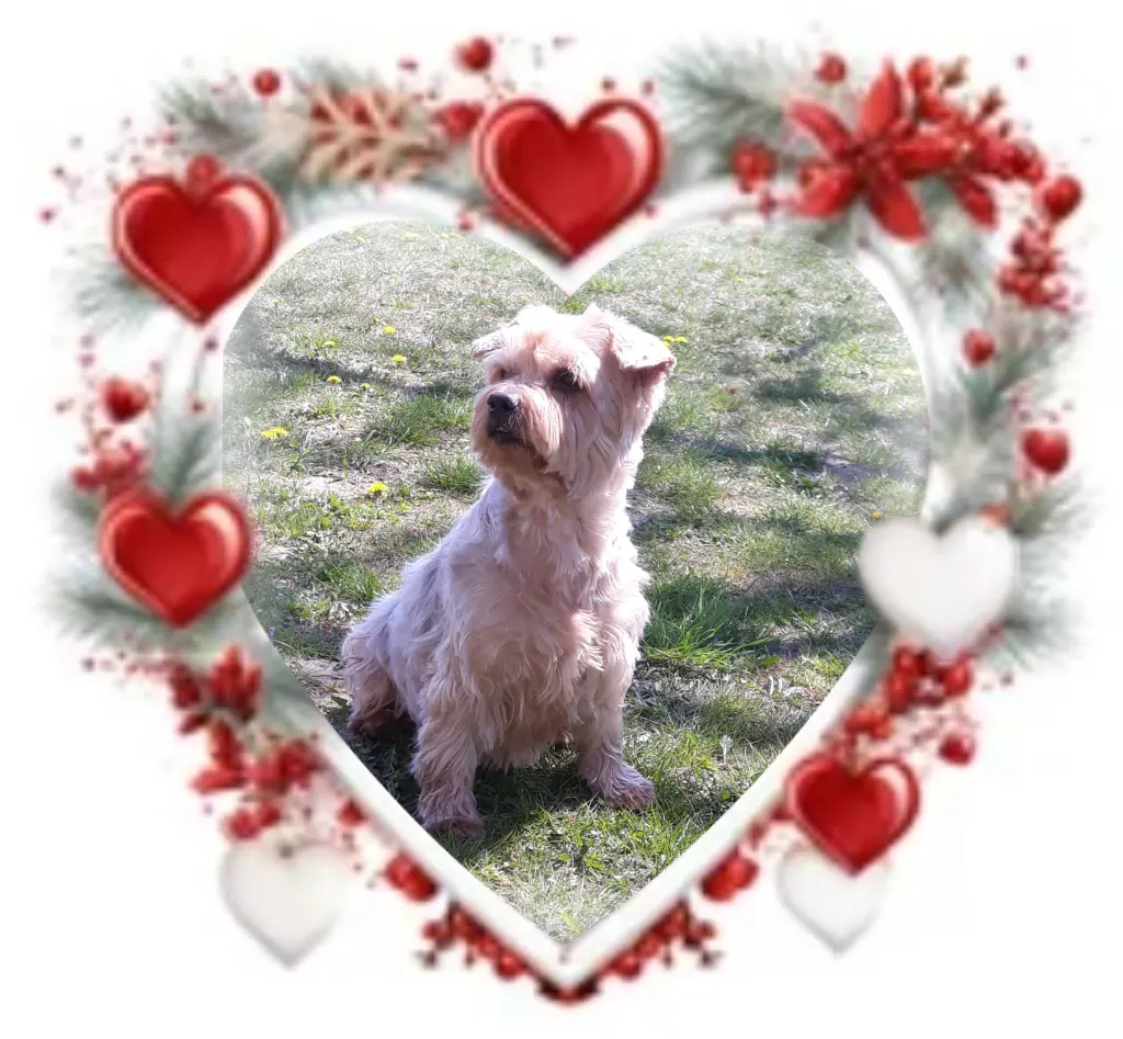 Condolence image of Ewa & Krzysztof 