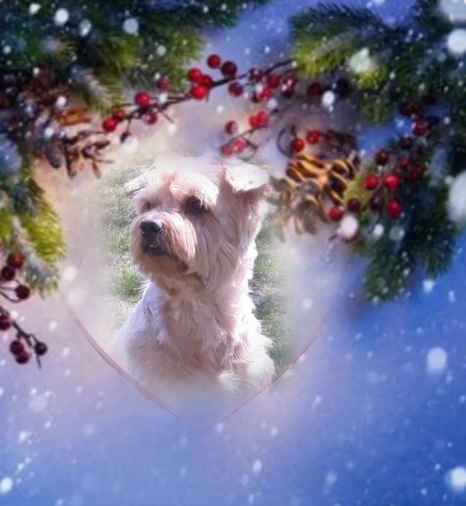 Condolence image of Ewa & Krzysztof 