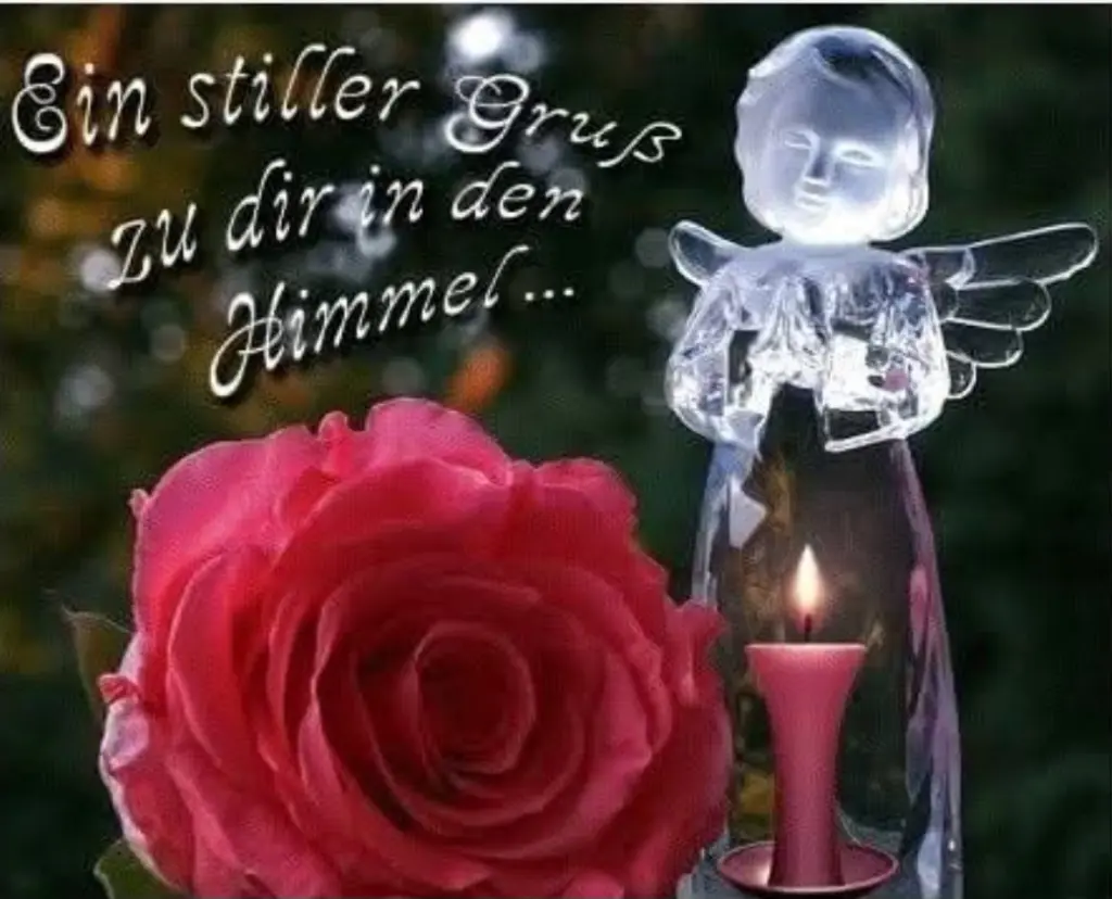 Condolence image of ⭐️Dobranoc nasz najdroższy Jackusiu♥️ 