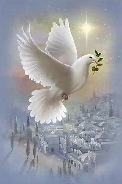 Condolence image of Liebe Grüße zum 4. Advent ♥️