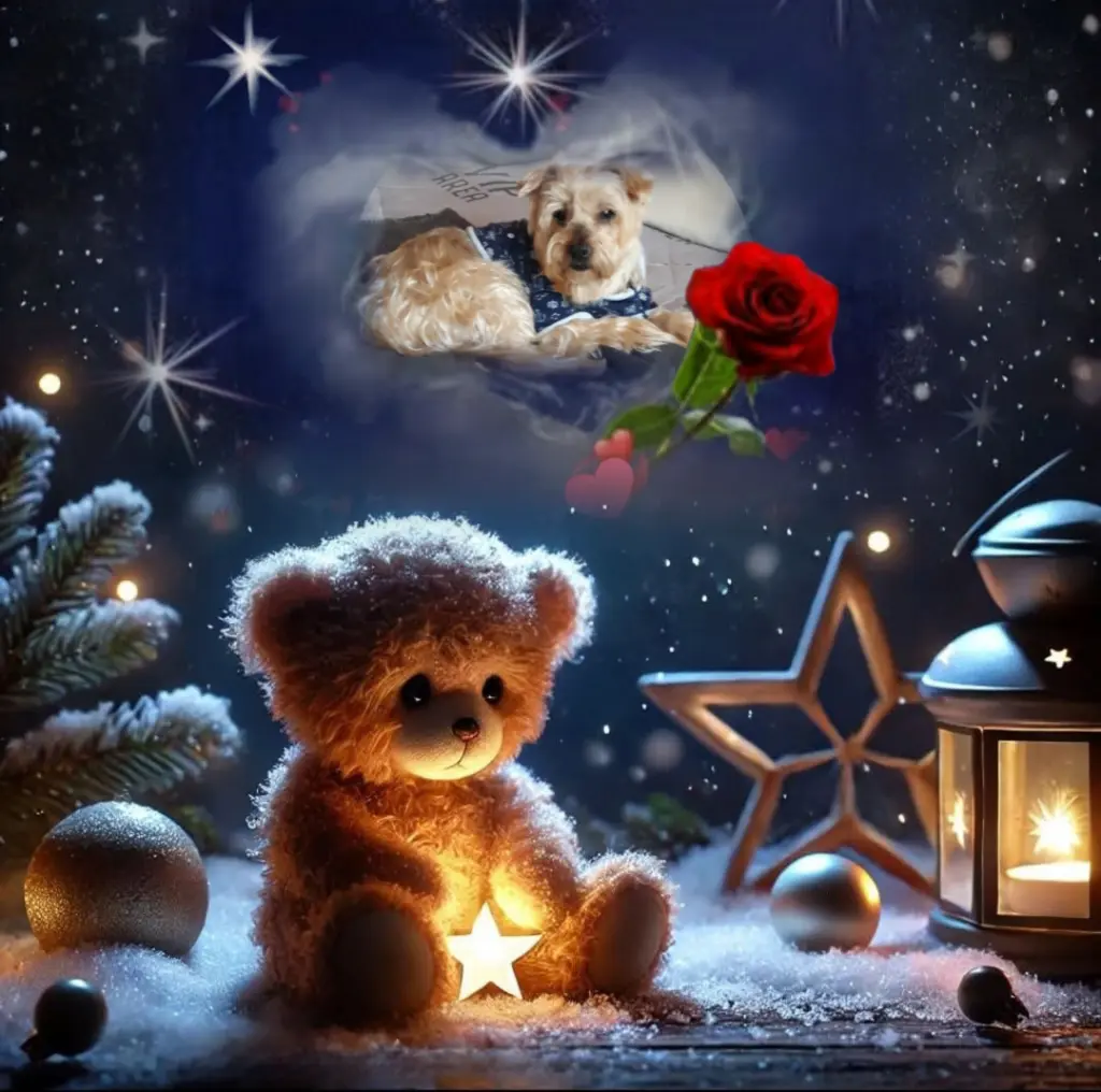 Condolence image of ⭐️Dobranoc nasz najdroższy Jackusiu♥️ 