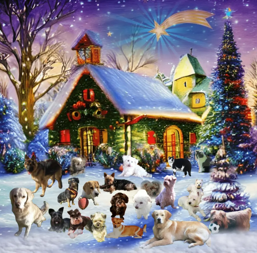 Condolence image of ♥️Nachricht aus dem Himmel♥️ 