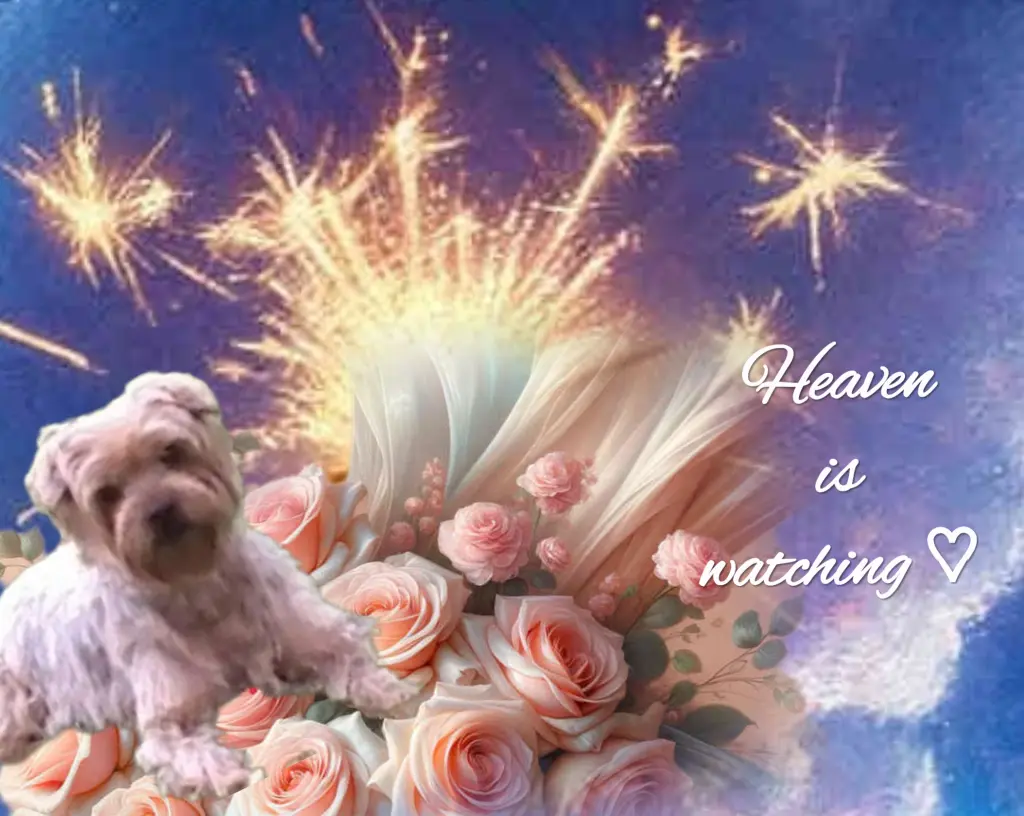 Condolence image of ♡Herzen♡