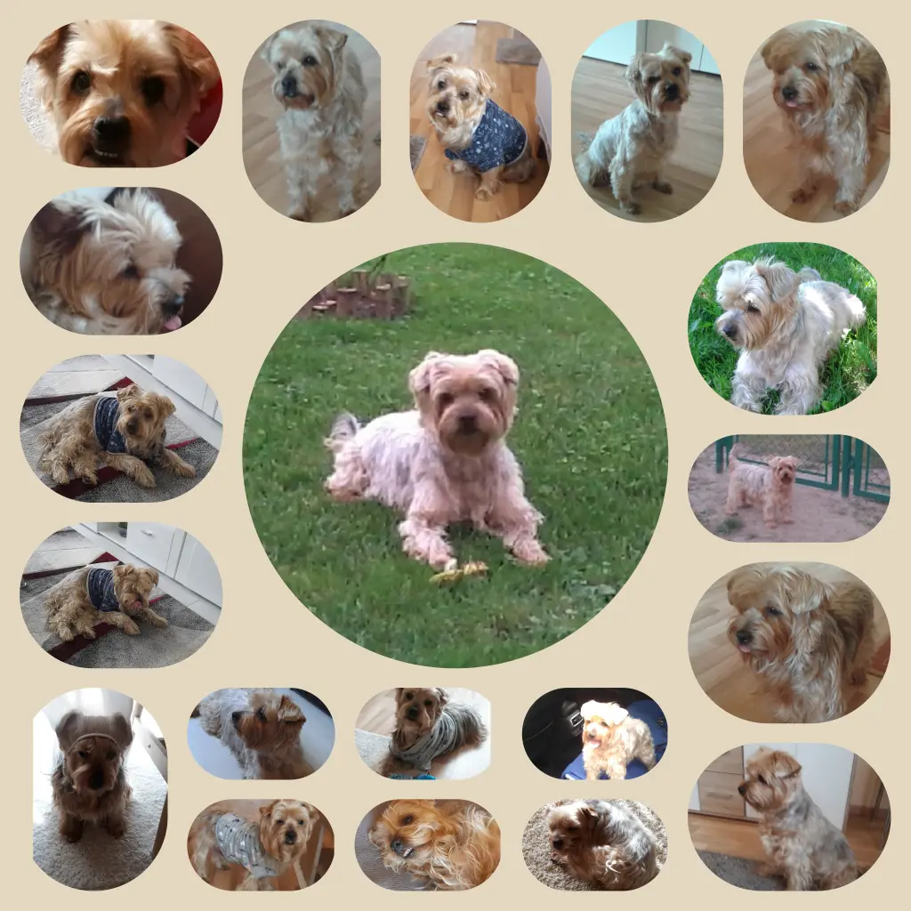 Condolence image of Ewa & Krzysztof 