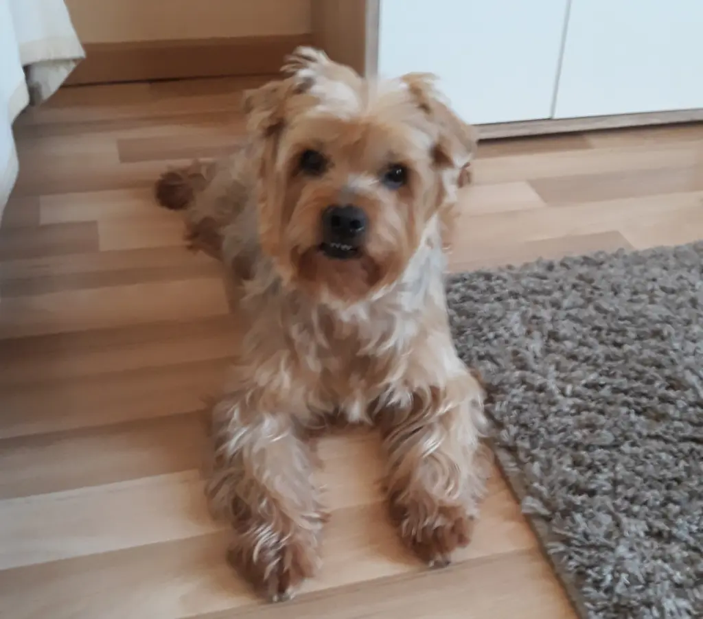 Condolence image of Ewa & Krzysztof 