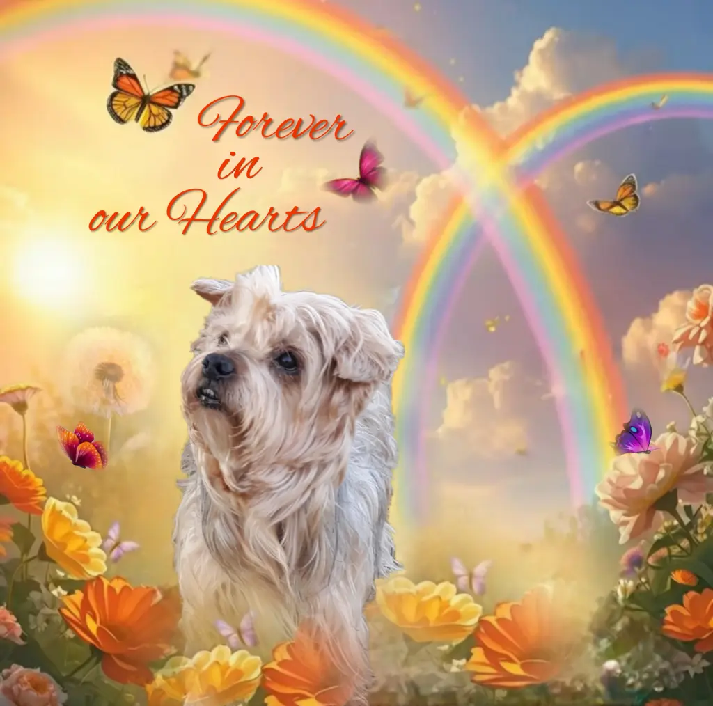 Condolence image of Ewa & Krzysztof 