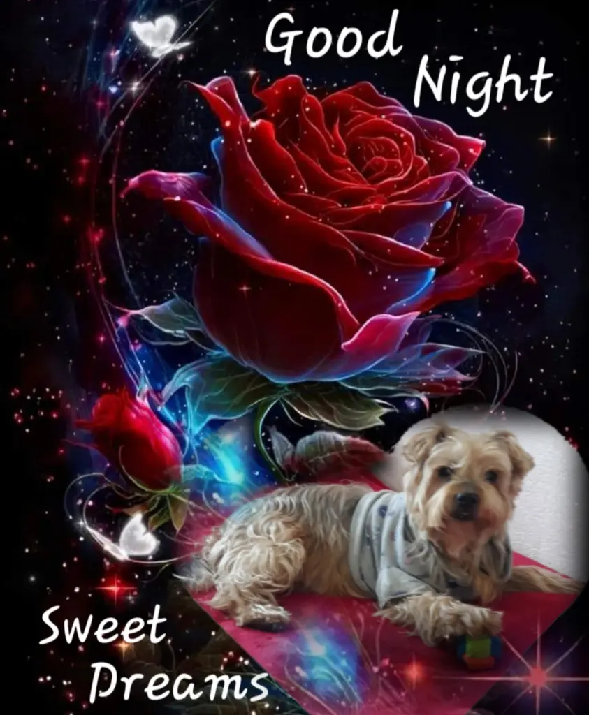 Condolence image of ⭐️Dobranoc nasz najdroższy Jackusiu♥️ 