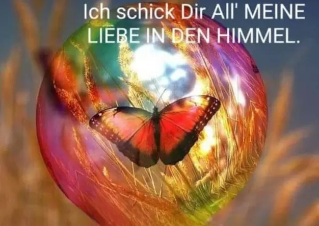 Condolence image of ⭐️Dobranoc nasz najdroższy Jackusiu♥️ 