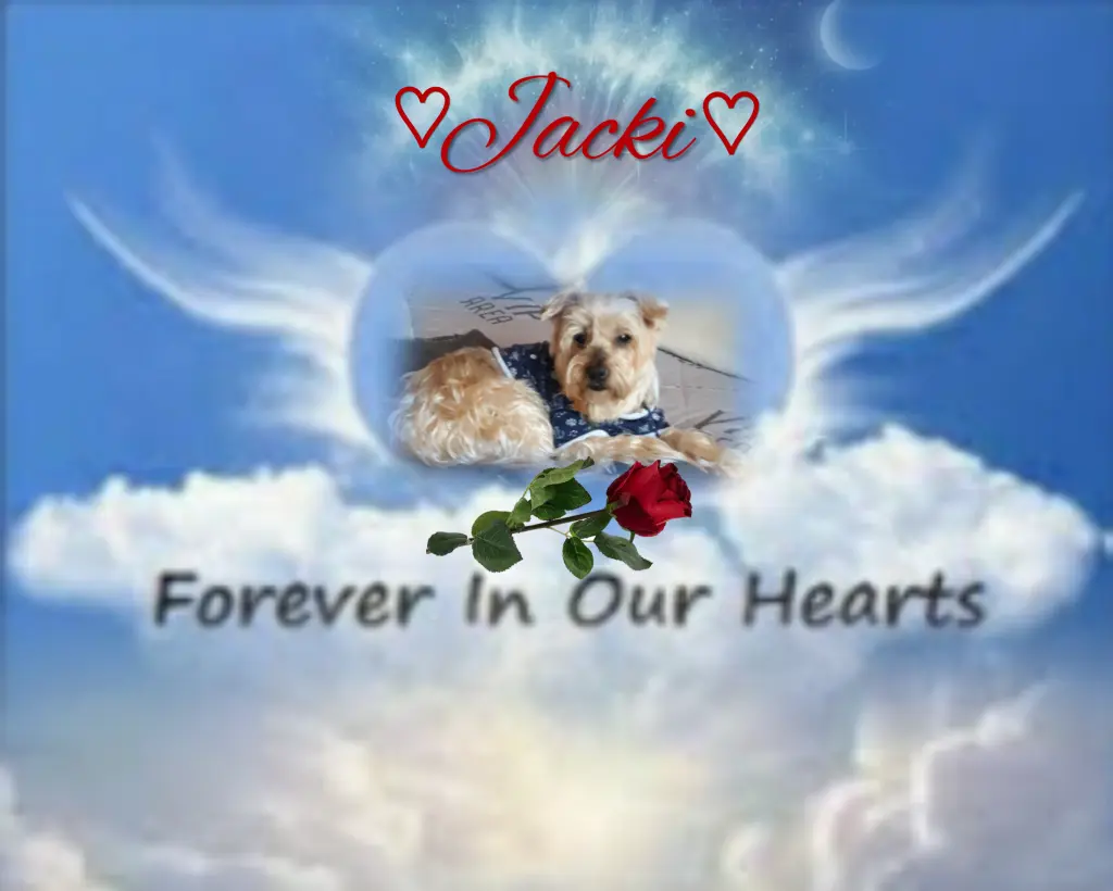 Condolence image of ⭐️Dobranoc nasz najdroższy Jackusiu♥️ 