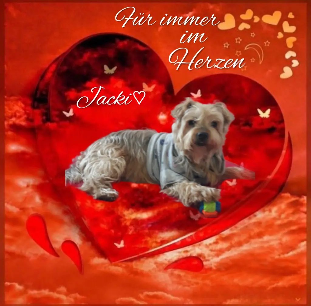 Condolence image of ⭐️Dobranoc nasz najdroższy Jackusiu♥️ 