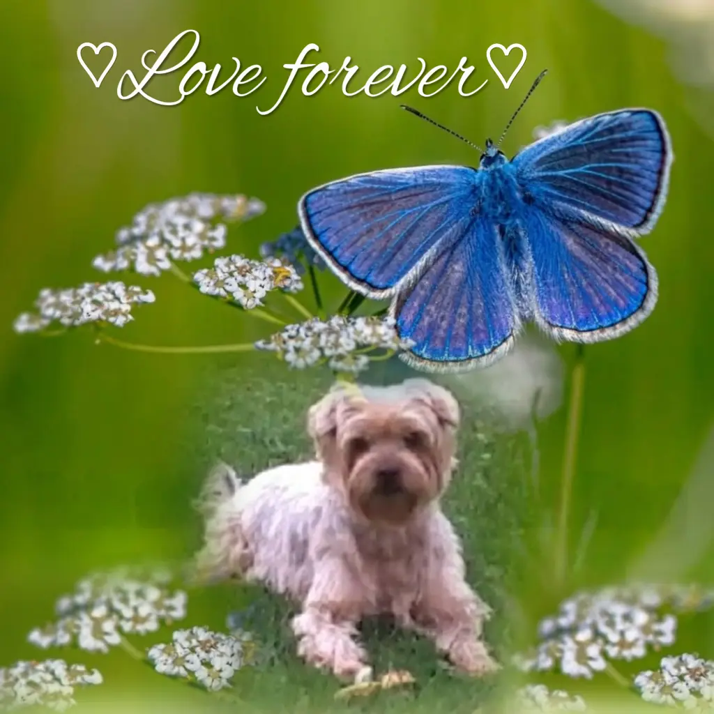 Condolence image of Ewa & Krzysztof 