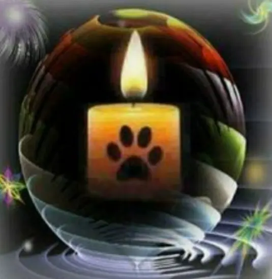 Condolence image of ⭐️Dobranoc nasz najdroższy Jackusiu♥️ 