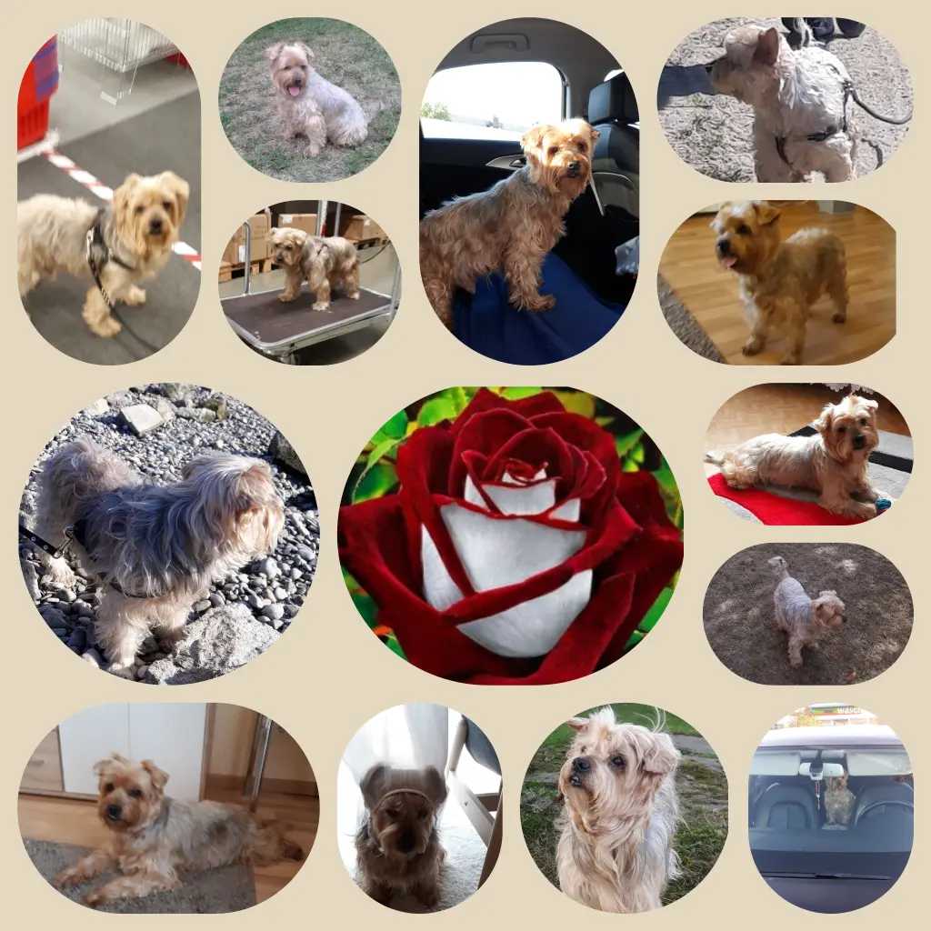 Condolence image of Ewa & Krzysztof 