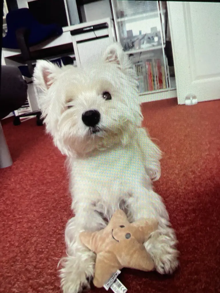 Condolence image of Unbekannt