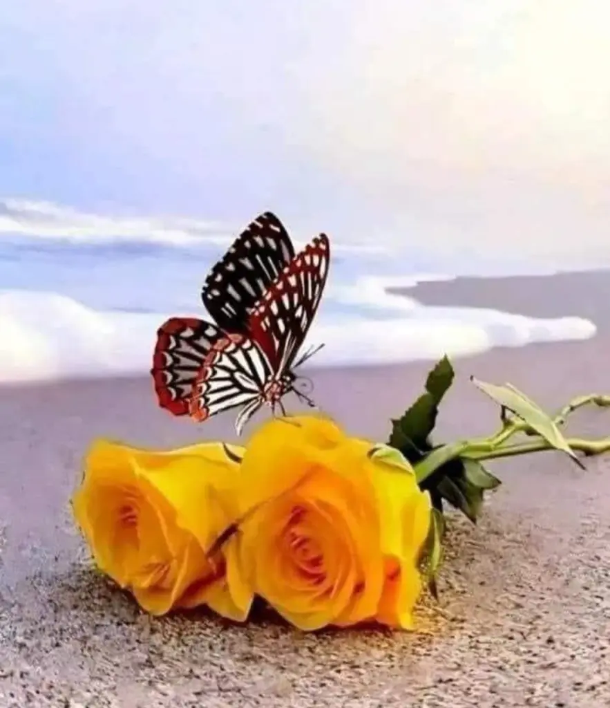 Condolence image of Ewa & Krzysztof 