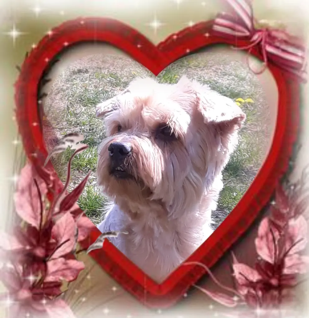 Condolence image of Ewa & Krzysztof 