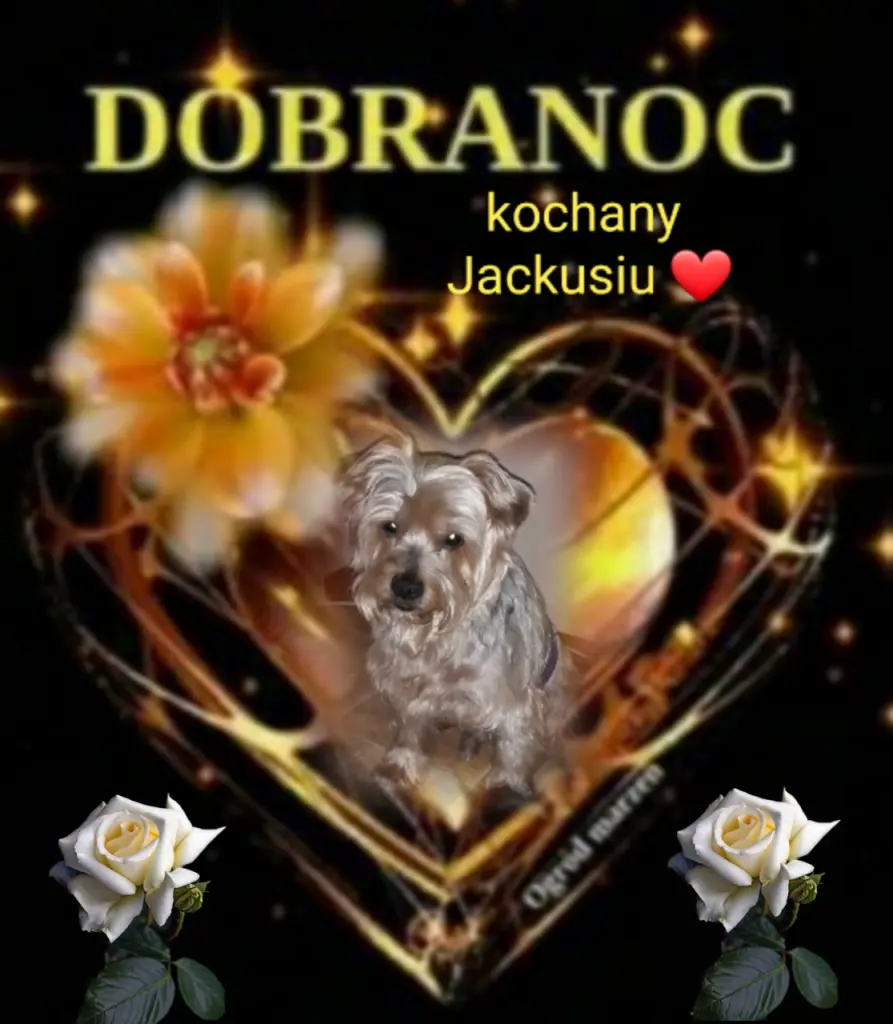 Condolence image of ⭐️Dobranoc nasz najdroższy Jackusiu♥️ 