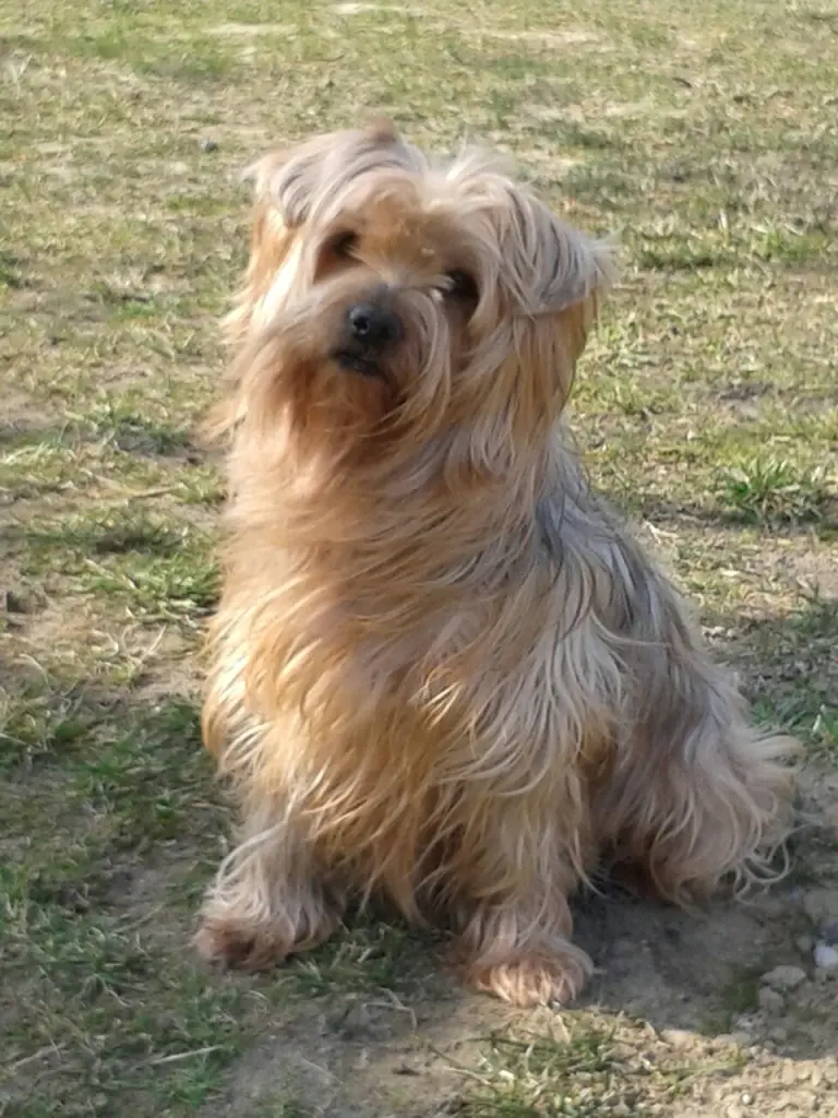 Condolence image of Ewa & Krzysztof 