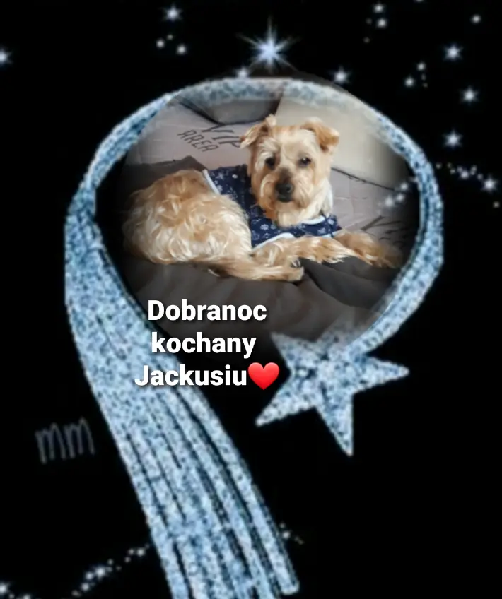Condolence image of ⭐️Dobranoc nasz najdroższy Jackusiu♥️ 