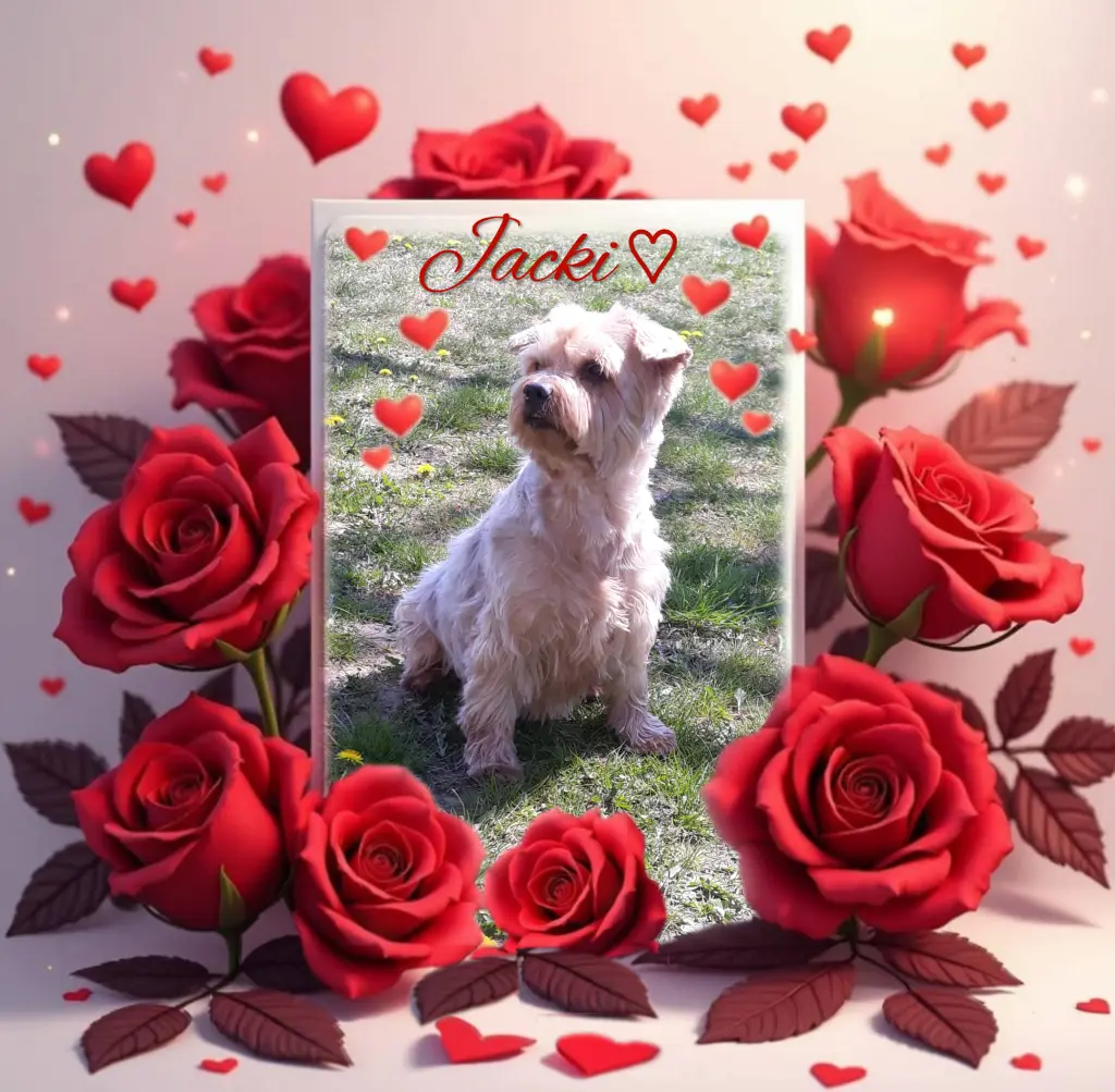 Condolence image of Ewa & Krzysztof 