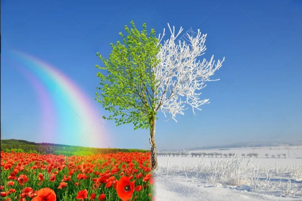 Condolence image of ⭐️Dobranoc nasz najdroższy Jackusiu♥️ 