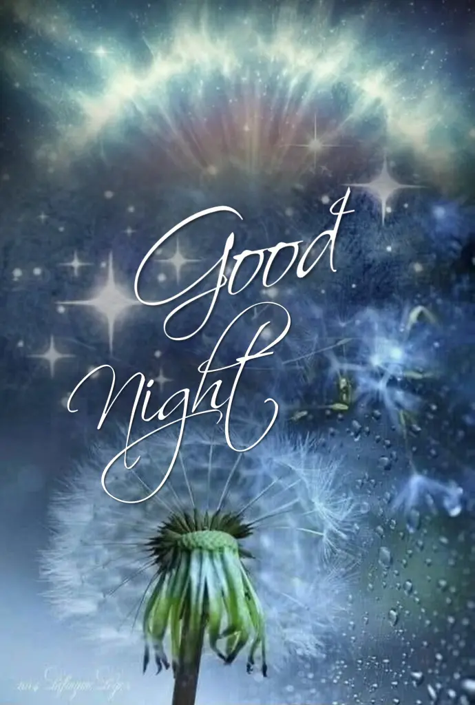 Condolence image of ⭐️Dobranoc nasz najdroższy Jackusiu♥️ 