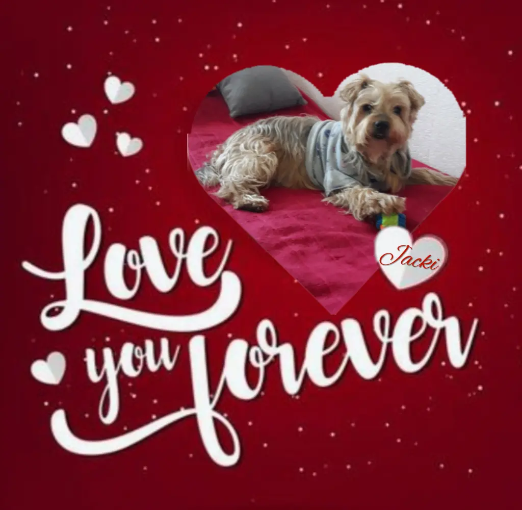 Condolence image of Ewa & Krzysztof 