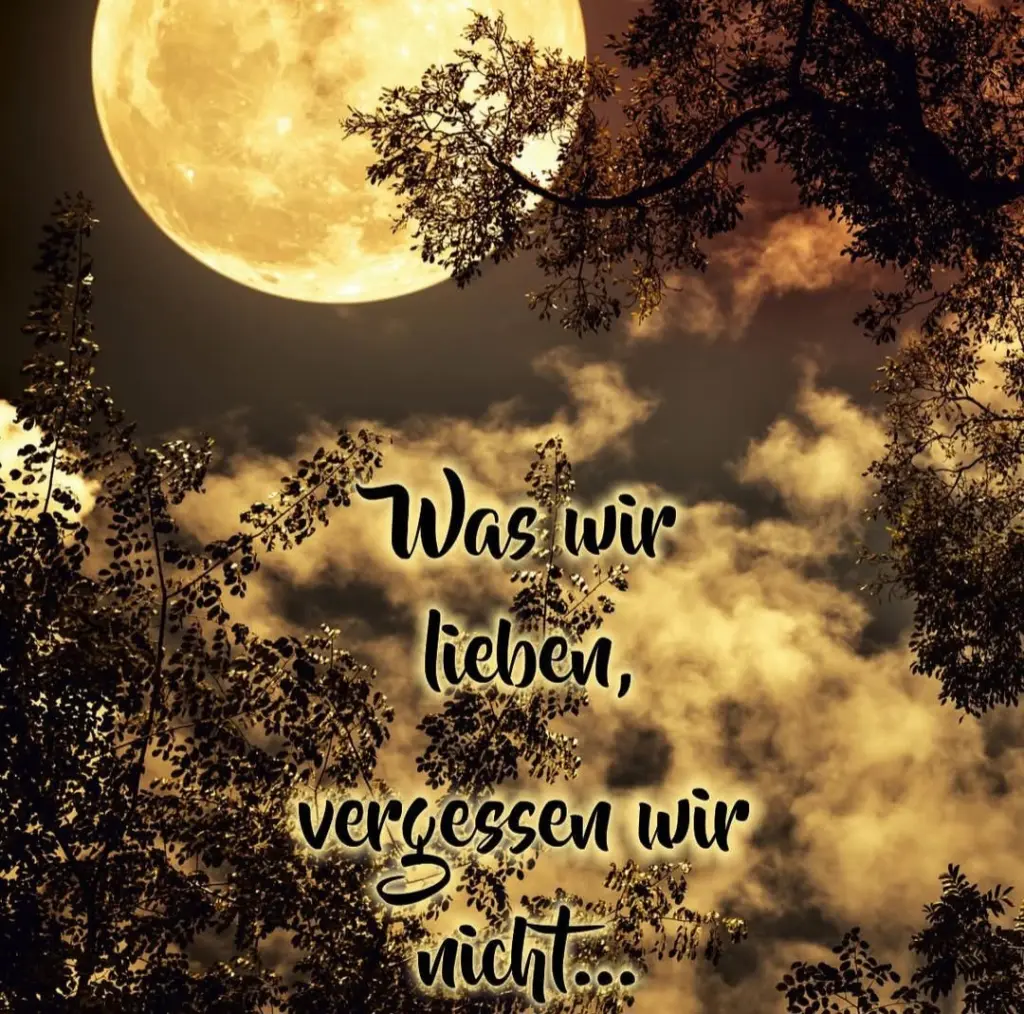 Condolence image of ⭐️Dobranoc nasz najdroższy Jackusiu♥️ 