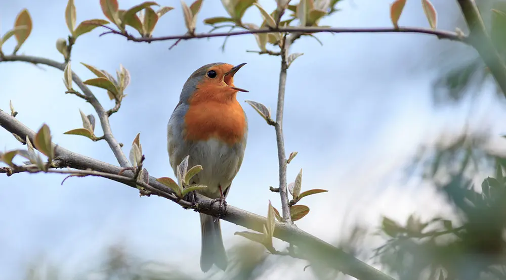 Condolence image of Iris mit Linus und Eliot im ♥ 