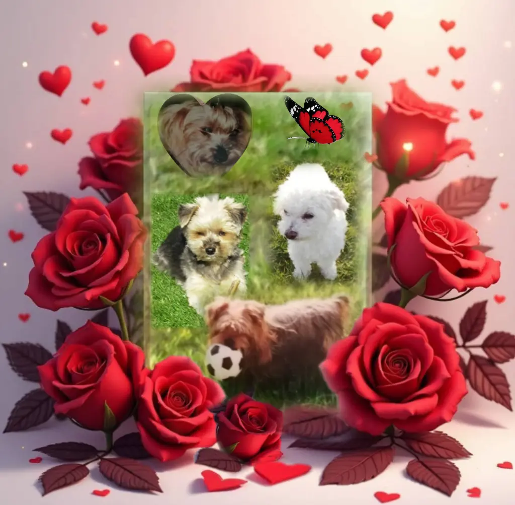 Condolence image of ♥️♥️