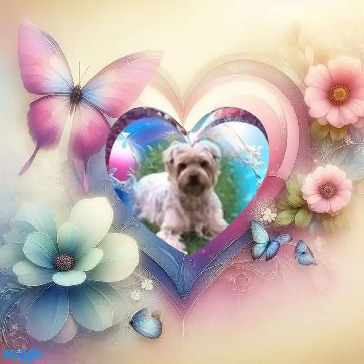 Condolence image of 124.Tygodnie.....Bez Ciebie❤️⭐️Jackuniu❤️⭐️