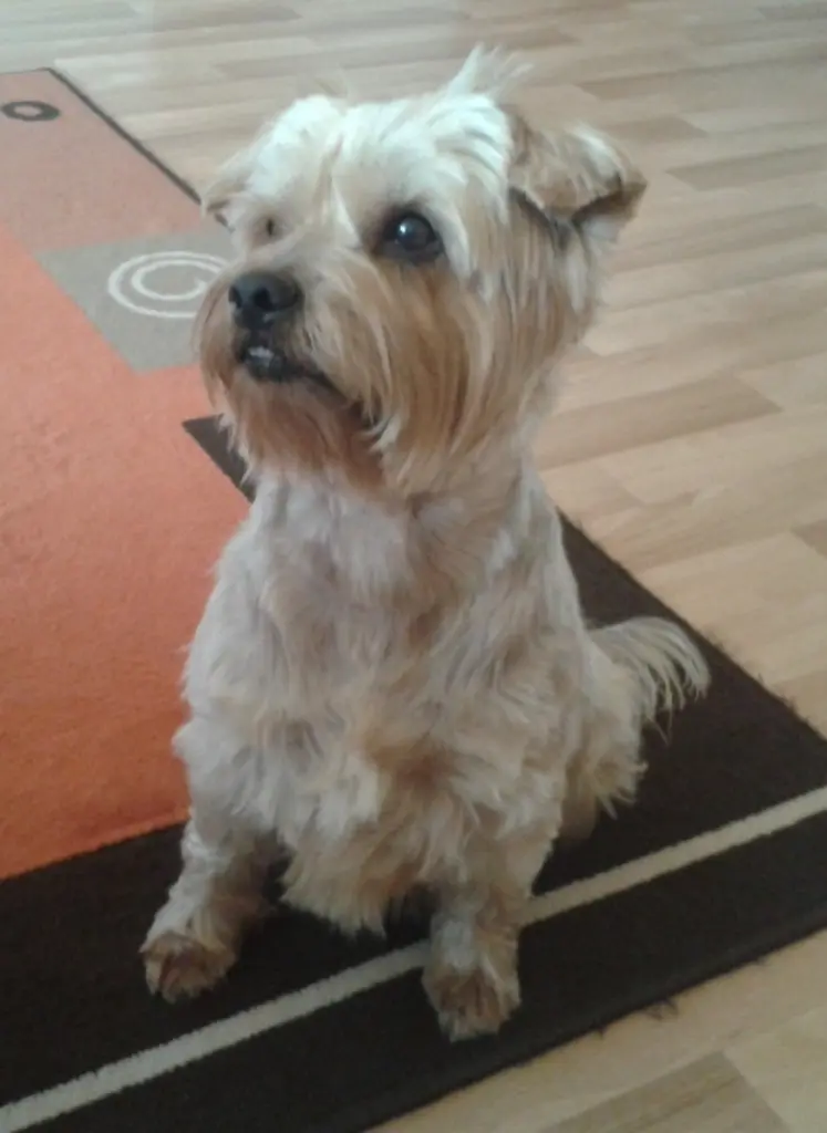 Condolence image of Ewa & Krzysztof 