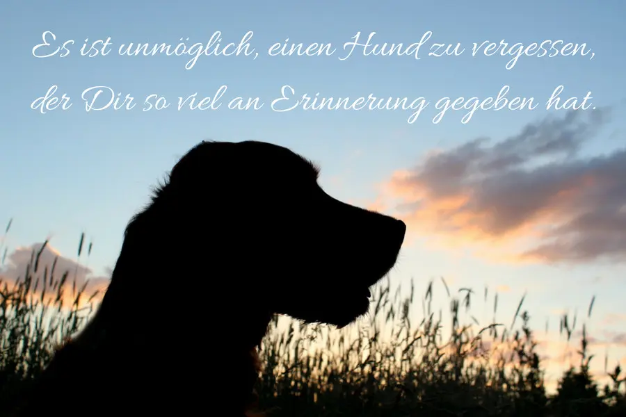 Condolence image of Iris mit Linus und Eliot im ♥ 