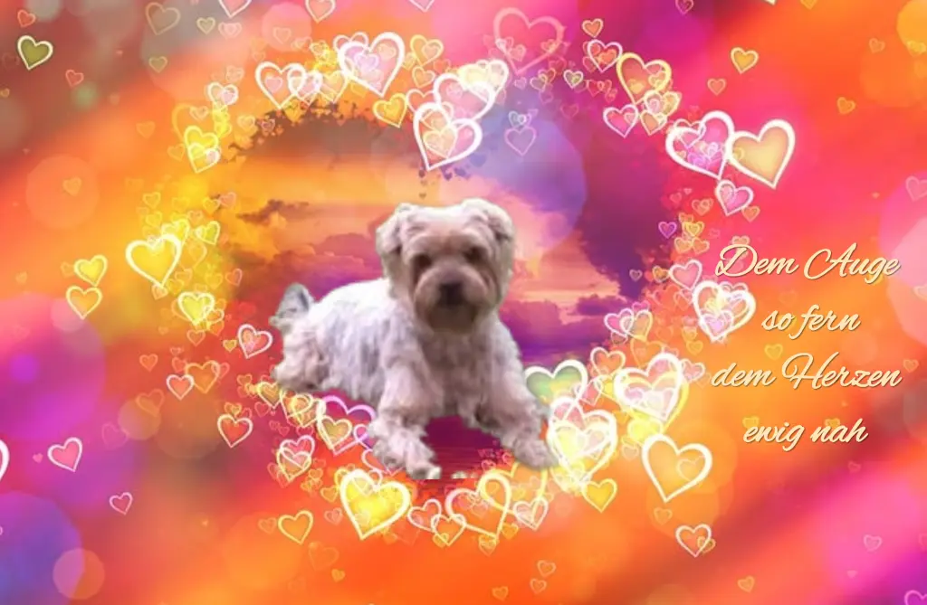 Condolence image of ♡Herzen♡