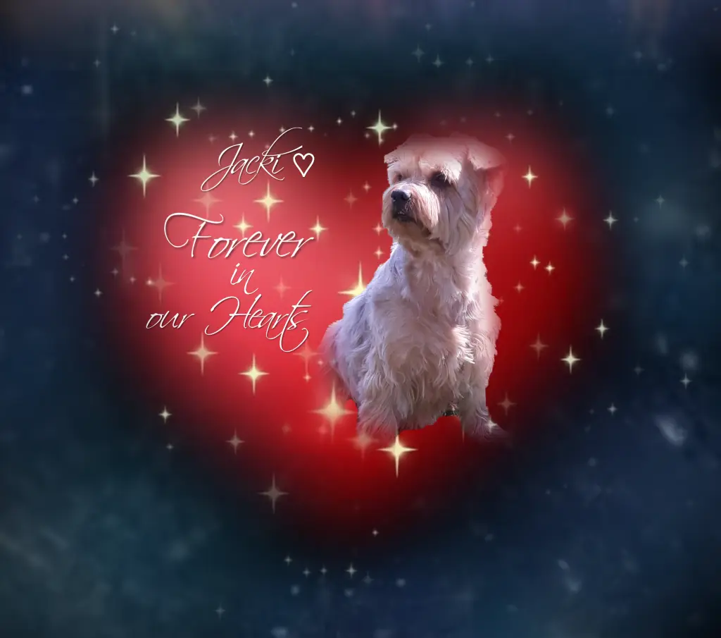 Condolence image of ⭐️Dobranoc nasz najdroższy Jackusiu♥️ 