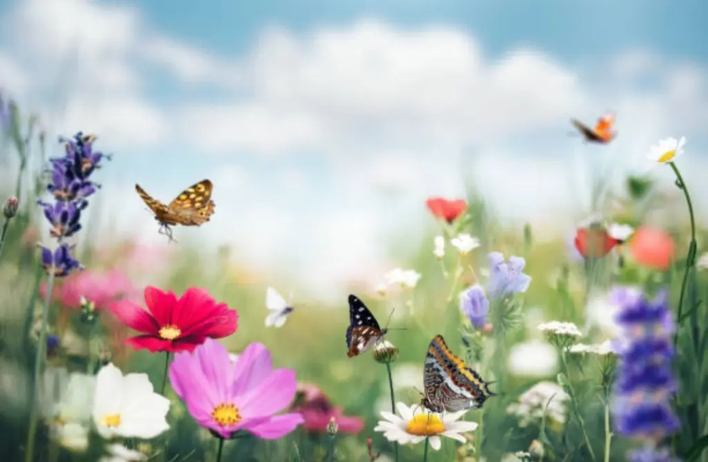 Condolence image of Ewa & Krzysztof 