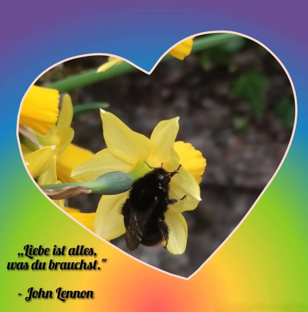 Condolence image of Ewa & Krzysztof 