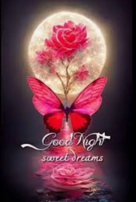 Condolence image of ⭐️Dobranoc nasz najdroższy Jackusiu♥️ 