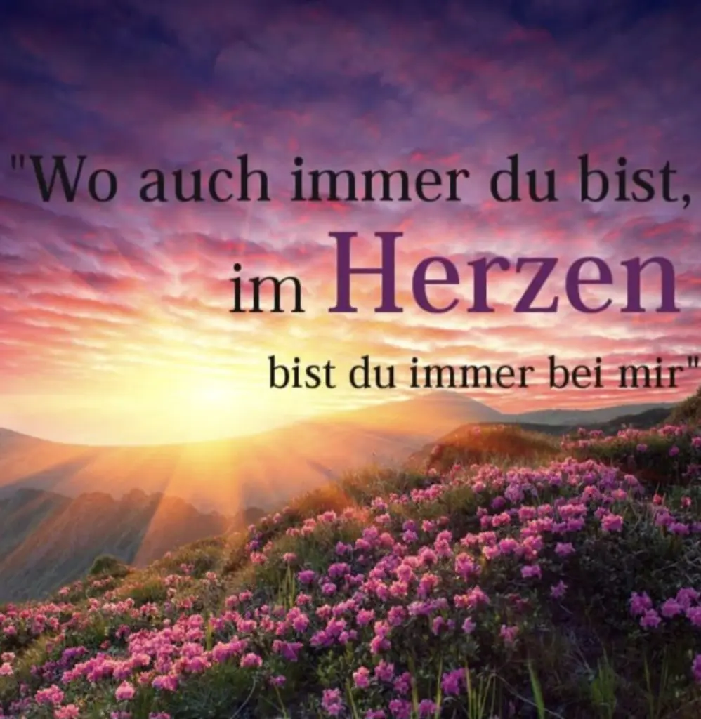 Condolence image of ⭐️Dobranoc nasz najdroższy Jackusiu♥️ 