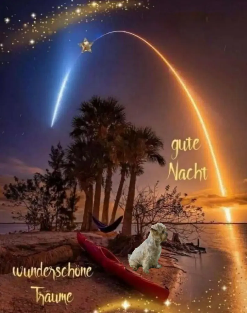 Condolence image of ⭐️Dobranoc nasz najdroższy Jackusiu♥️ 