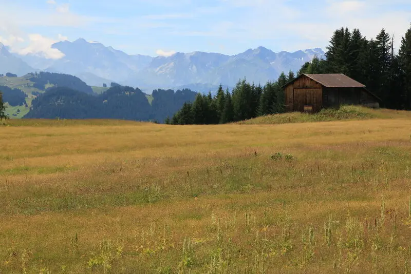 Condolence image of ღ꧁ღ╭⊱༺❤️ ❤️༻ ⊱╮ღ꧂ღ