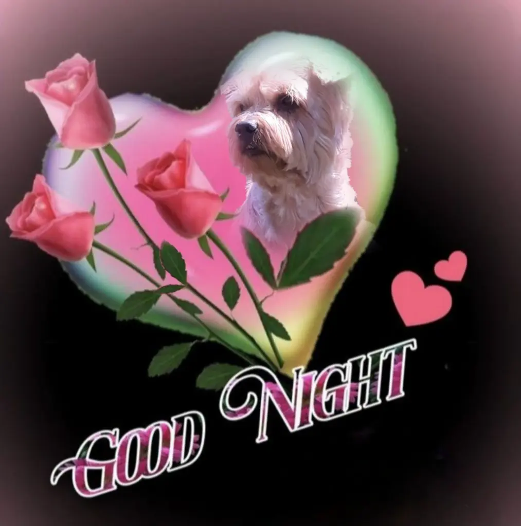 Condolence image of ⭐️Dobranoc nasz najdroższy Jackusiu♥️ 