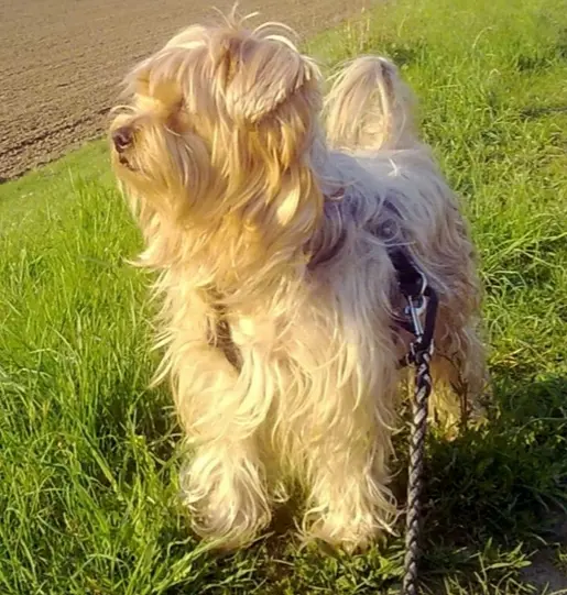 Condolence image of Ewa & Krzysztof 